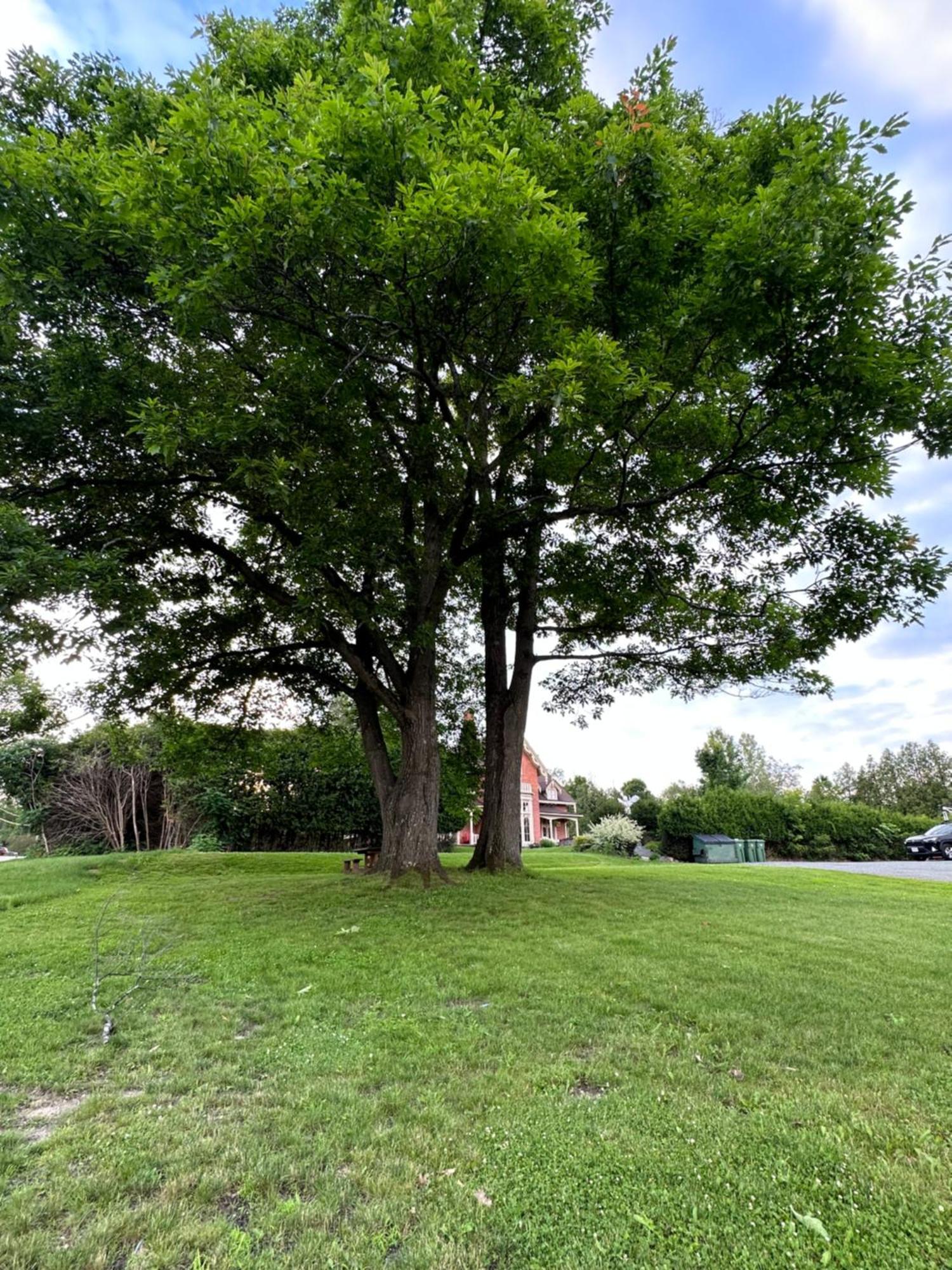 Motel Le Refuge Sherbrooke Dış mekan fotoğraf